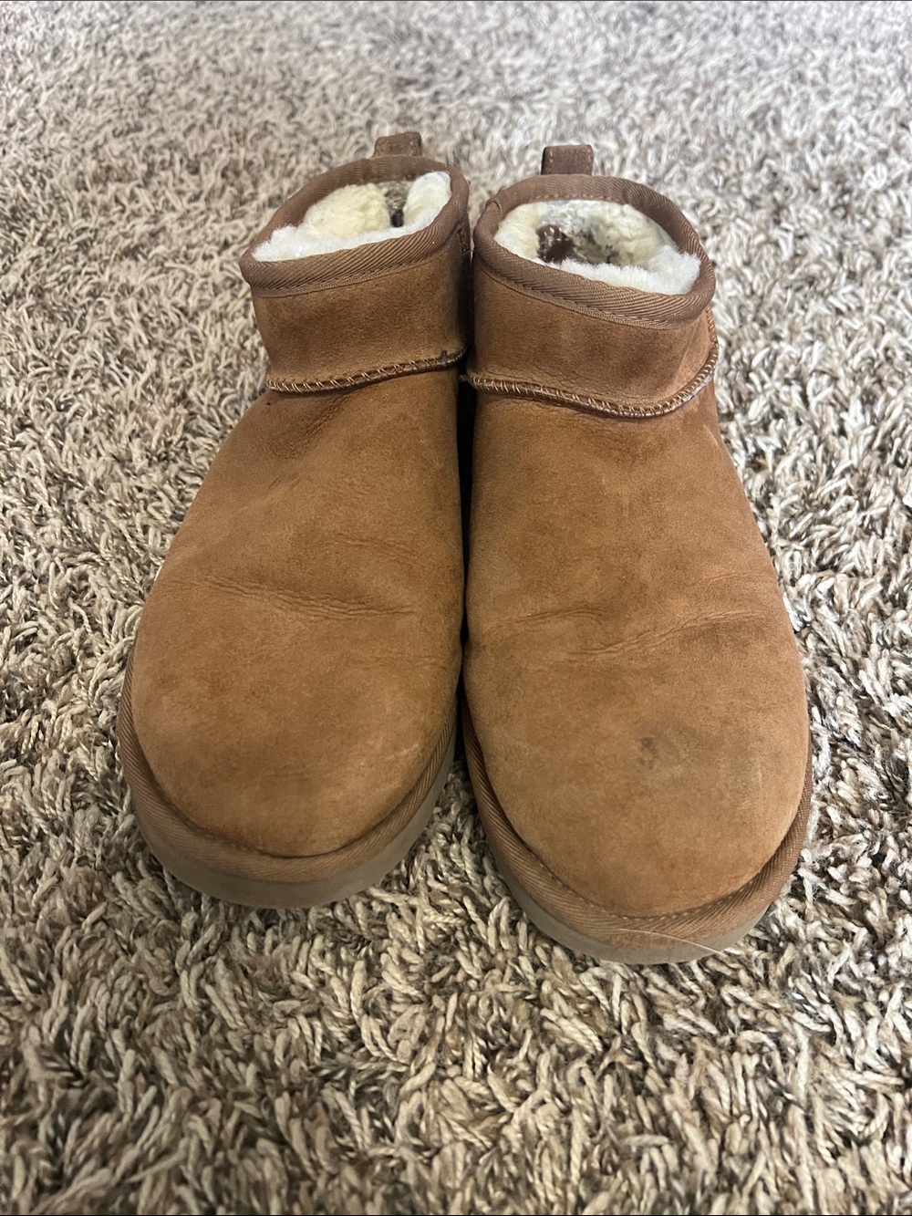 UGG Chestnut Suede Short Cozy Lined Ankle Booties